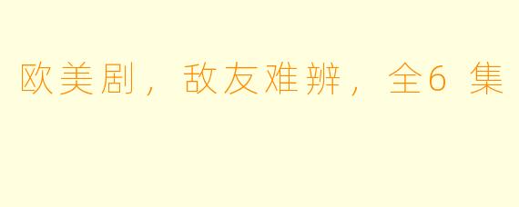 欧美剧，敌友难辨，全6集