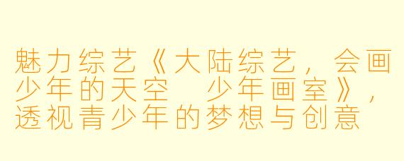 魅力综艺《大陆综艺，会画少年的天空 少年画室》，透视青少年的梦想与创意