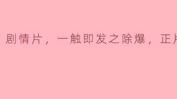 剧情片，一触即发之除爆，正片