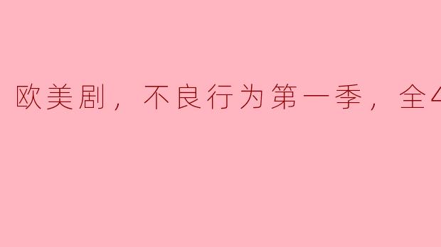 探讨欧美剧《不良行为》第一季，全4集
