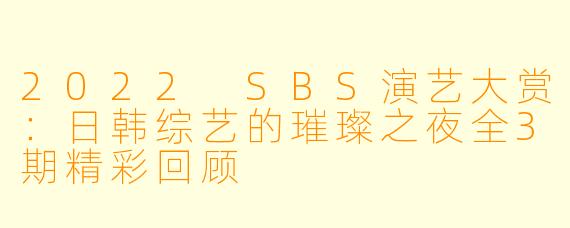 2022 SBS演艺大赏：日韩综艺的璀璨之夜全3期精彩回顾