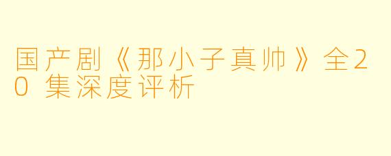 国产剧《那小子真帅》全20集深度评析