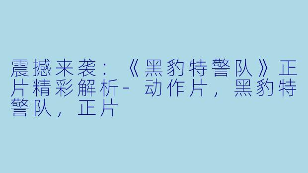 震撼来袭：《黑豹特警队》正片精彩解析-动作片，黑豹特警队，正片