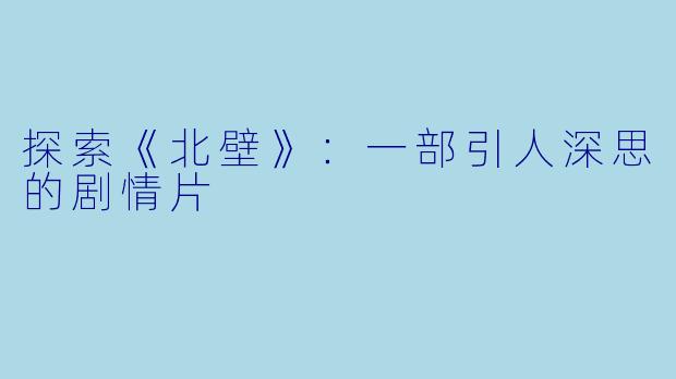 探索《北壁》：一部引人深思的剧情片