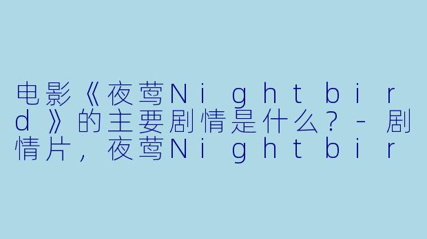 电影《夜莺Nightbird》的主要剧情是什么?