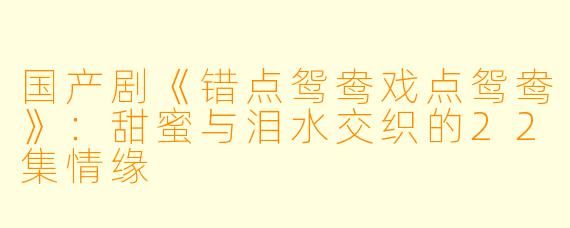 国产剧《错点鸳鸯戏点鸳鸯》：甜蜜与泪水交织的22集情缘