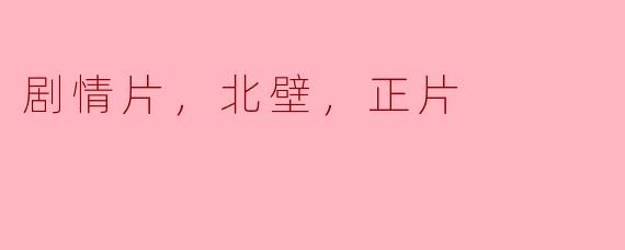探索《北壁》：一部引人深思的剧情片