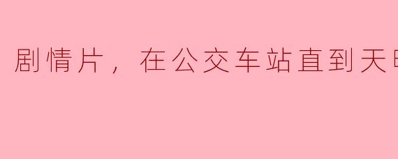 电影《在公交车站直到天明》的主要剧情是什么？**