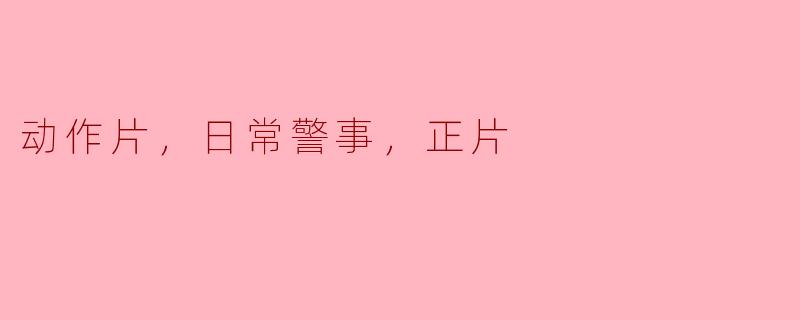 ### 日常警事中的英雄情怀：动感与真实的结合
