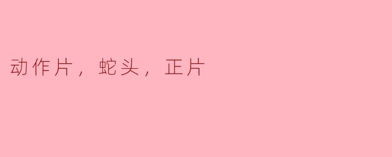 动作片，蛇头，正片