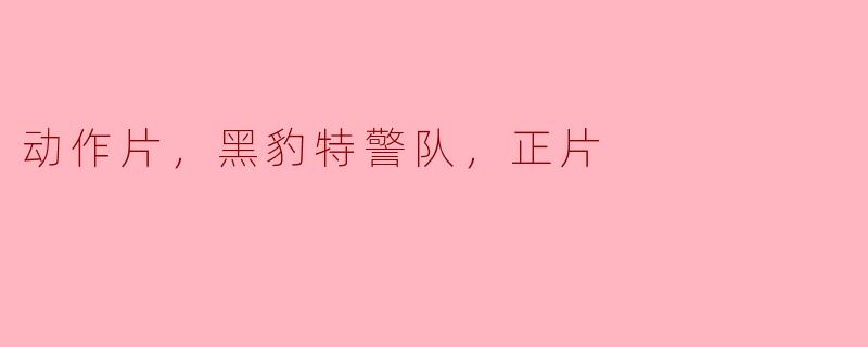动作片，黑豹特警队，正片