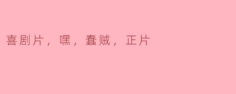 ### 喜剧片《嘿，蠢贼》：笑声与反思交织的精彩之作