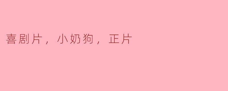 ### 小奶狗与喜剧片：温暖与笑声的完美结合