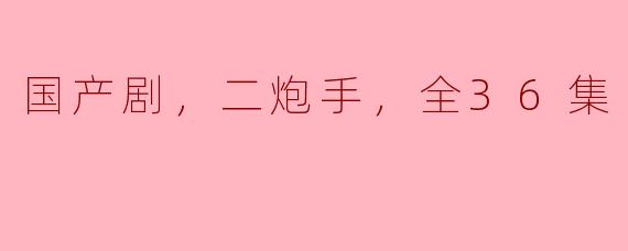 国产剧，二炮手，全36集