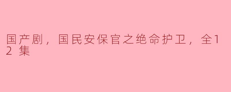 国产剧，国民安保官之绝命护卫，全12集