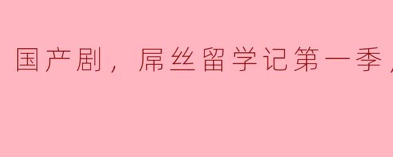 国产剧《屌丝留学记》第一季：青春奋斗的真实写照