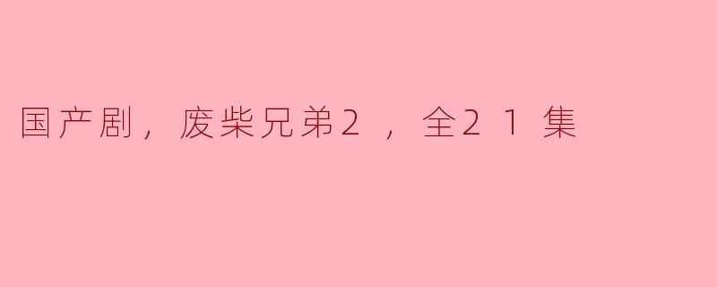 国产剧，废柴兄弟2，全21集