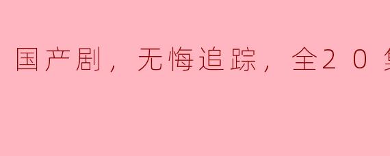 国产剧《无悔追踪》全20集讲述了什么故事？