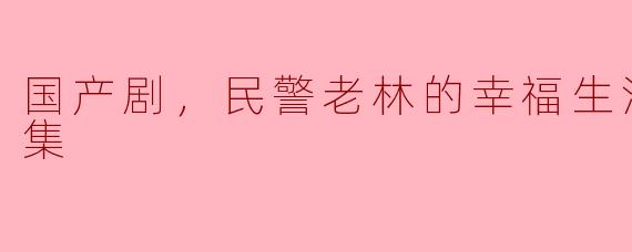 守护平安的幸福生活——国产剧《民警老林的幸福生活》全40集观后感