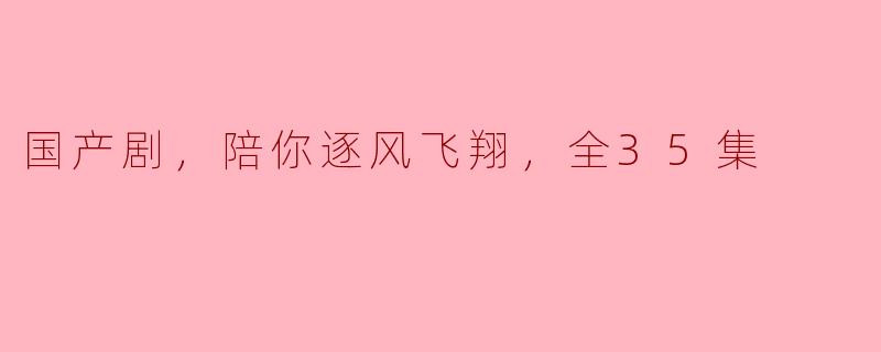 国产剧，陪你逐风飞翔，全35集