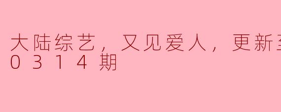 重温爱情的记忆：《又见爱人》20230314期点评