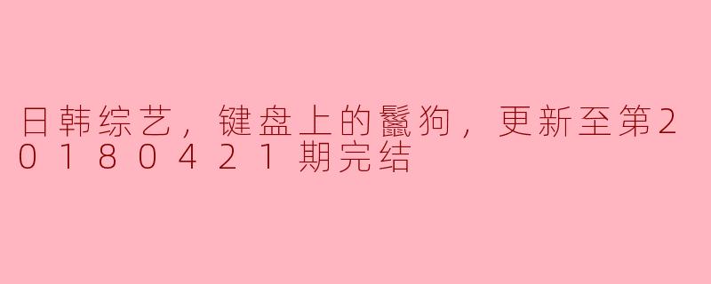 ### 日韩综艺：“键盘上的鬣狗”综艺魅力解析