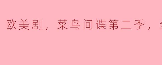 欧美剧《菜鸟间谍》第二季一共有多少集？这部剧讲述了什么样的故事？