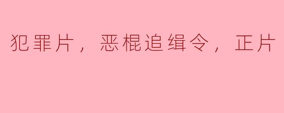 追逐黑暗：犯罪片中的恶棍追缉令