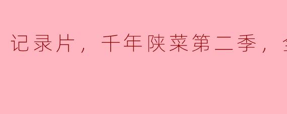 探索陕菜的千年传承：《记录片·千年陕菜第二季》全8集深度解析