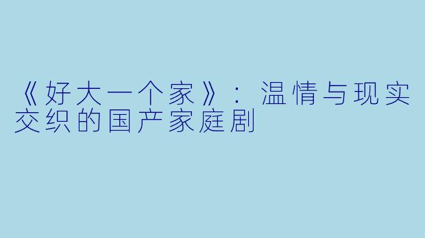 《好大一个家》：温情与现实交织的国产家庭剧