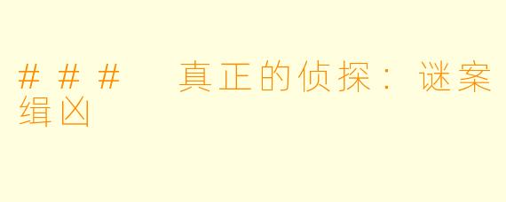 ### 真正的侦探：谜案缉凶