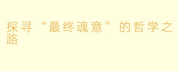 探寻“最终魂意”的哲学之路