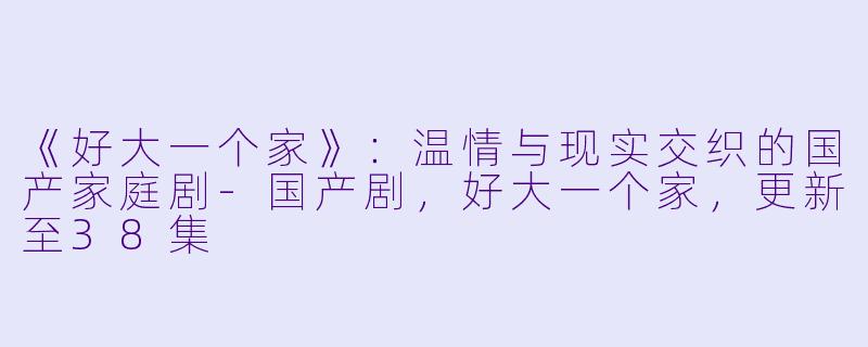 《好大一个家》：温情与现实交织的国产家庭剧-国产剧，好大一个家，更新至38集