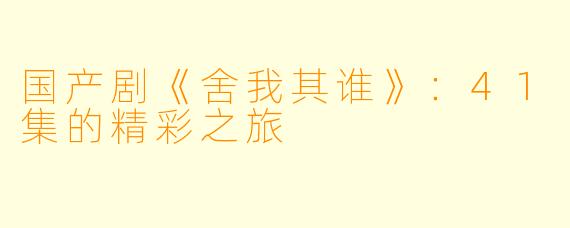 国产剧《舍我其谁》：41集的精彩之旅