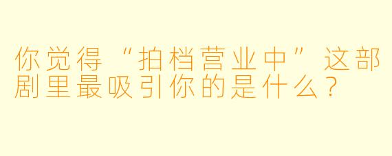 你觉得“拍档营业中”这部剧里最吸引你的是什么？