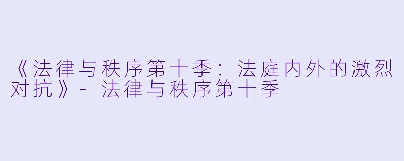 《法律与秩序第十季：法庭内外的激烈对抗》-法律与秩序第十季