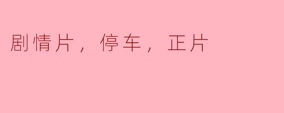 剧情片，停车，正片