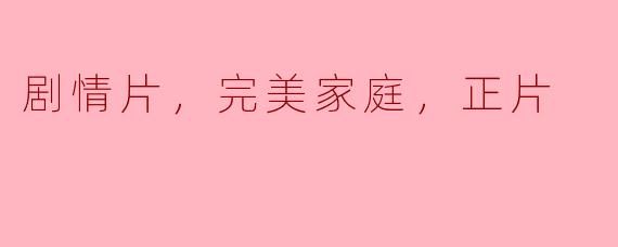 剧情片，完美家庭，正片