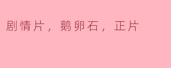 鹅卵石与情感的交织——一部扣人心弦的剧情片