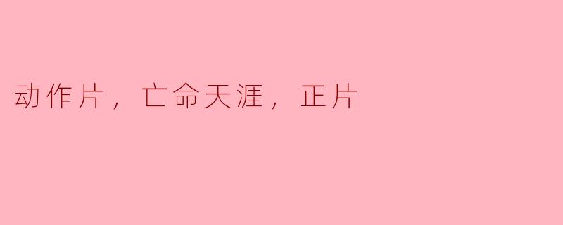 动作片，亡命天涯，正片