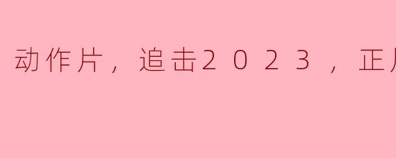 动作片，追击2023，正片