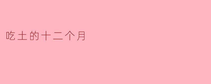 吃土的十二个月