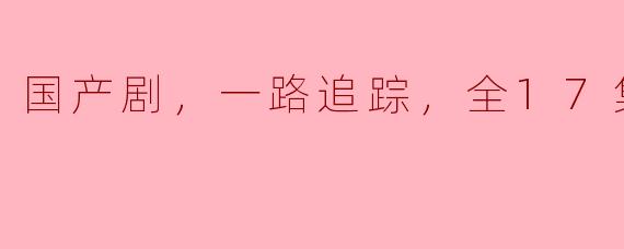 你能推荐一部国产剧吗？我听说有一部名为《一路追踪》的全17集剧集，讲述了什么故事？
