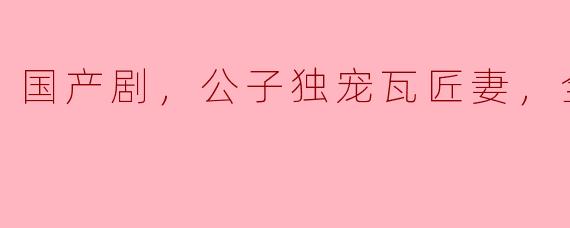 国产剧《公子独宠瓦匠妻》全24集讲述了怎样的故事？