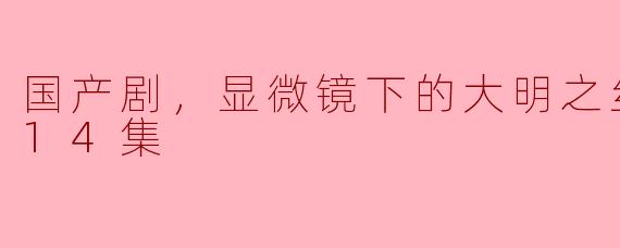 ### 国产剧《显微镜下的大明之丝绢案》：历史与悬疑的完美融合