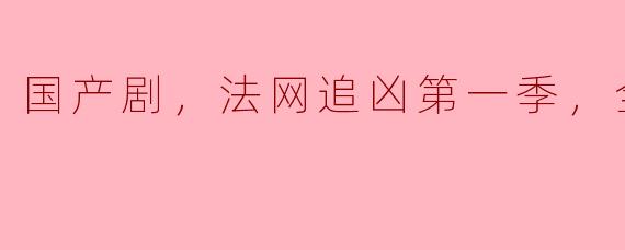你能简单介绍一下国产剧《法网追凶》第一季的剧情吗？