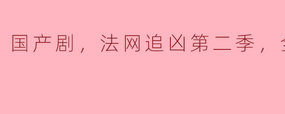 国产剧，法网追凶第二季，全12集