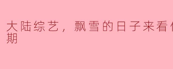  《大陆综艺《飘雪的日子来看你》全10期精彩回顾》