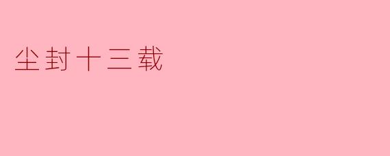 尘封十三载：岁月的回响与重生