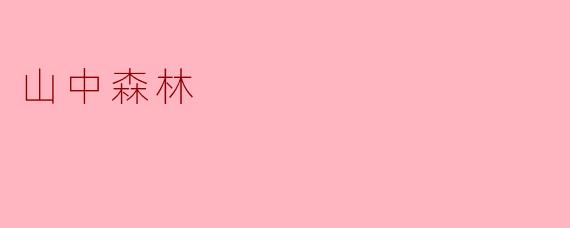 山中森林